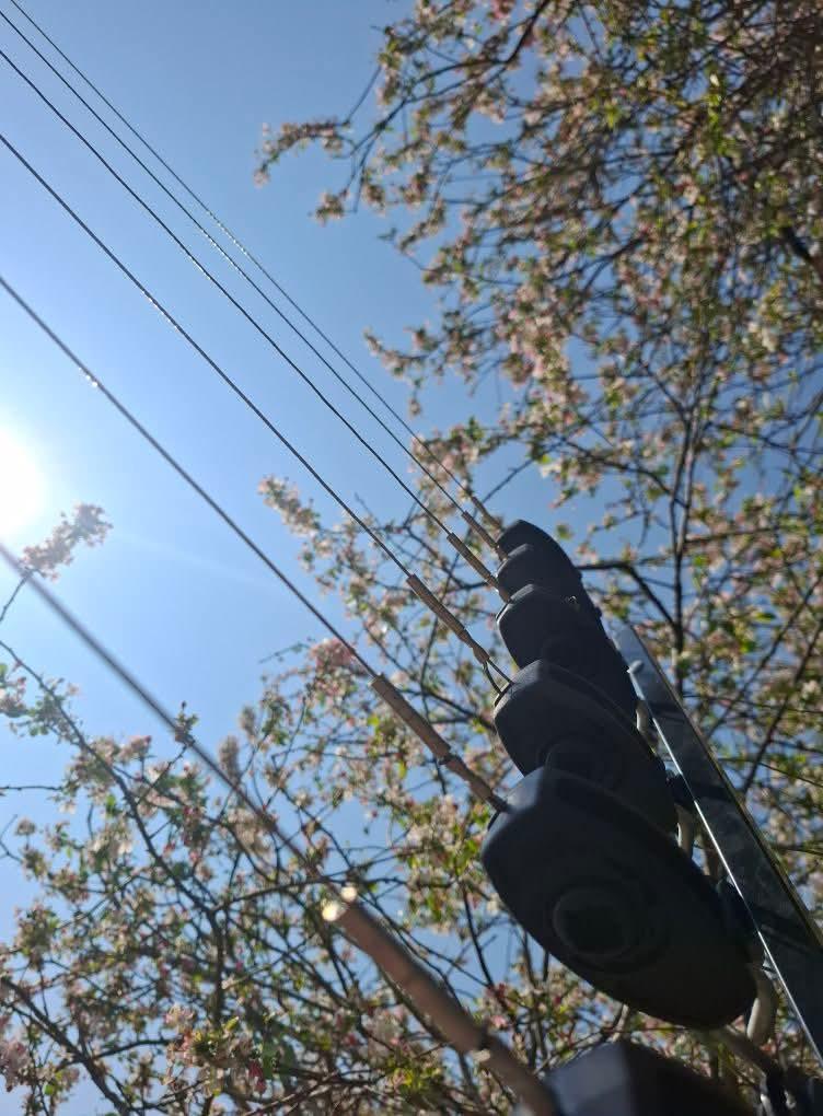 Fence Straining Posts & Insulators